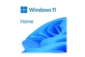 Microsoft Windows 11 Home - DVD-ROM - Englisch
