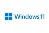 Microsoft Windows 11 Pro - DVD-ROM - Französisch