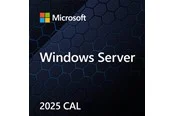 Microsoft Windows Server 2025 Standard - Polieren