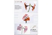 Olympia - laminated tape - 100 pcs. - A4
