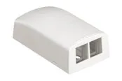 PANDUIT Netkey 2-position surface mount box