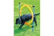 Pawise - Agility Ring 55Cm