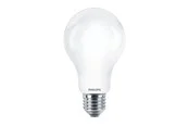 Philips LED-Lampe A67 Standard 2000lm 13W/865 (120W) Frosted E27