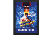 Pixel Frames - Plax SF2 Champion Edition - Bild