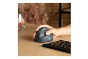R-Go Tools R-Go HE Basic - Vertical mouse (Schwarz)