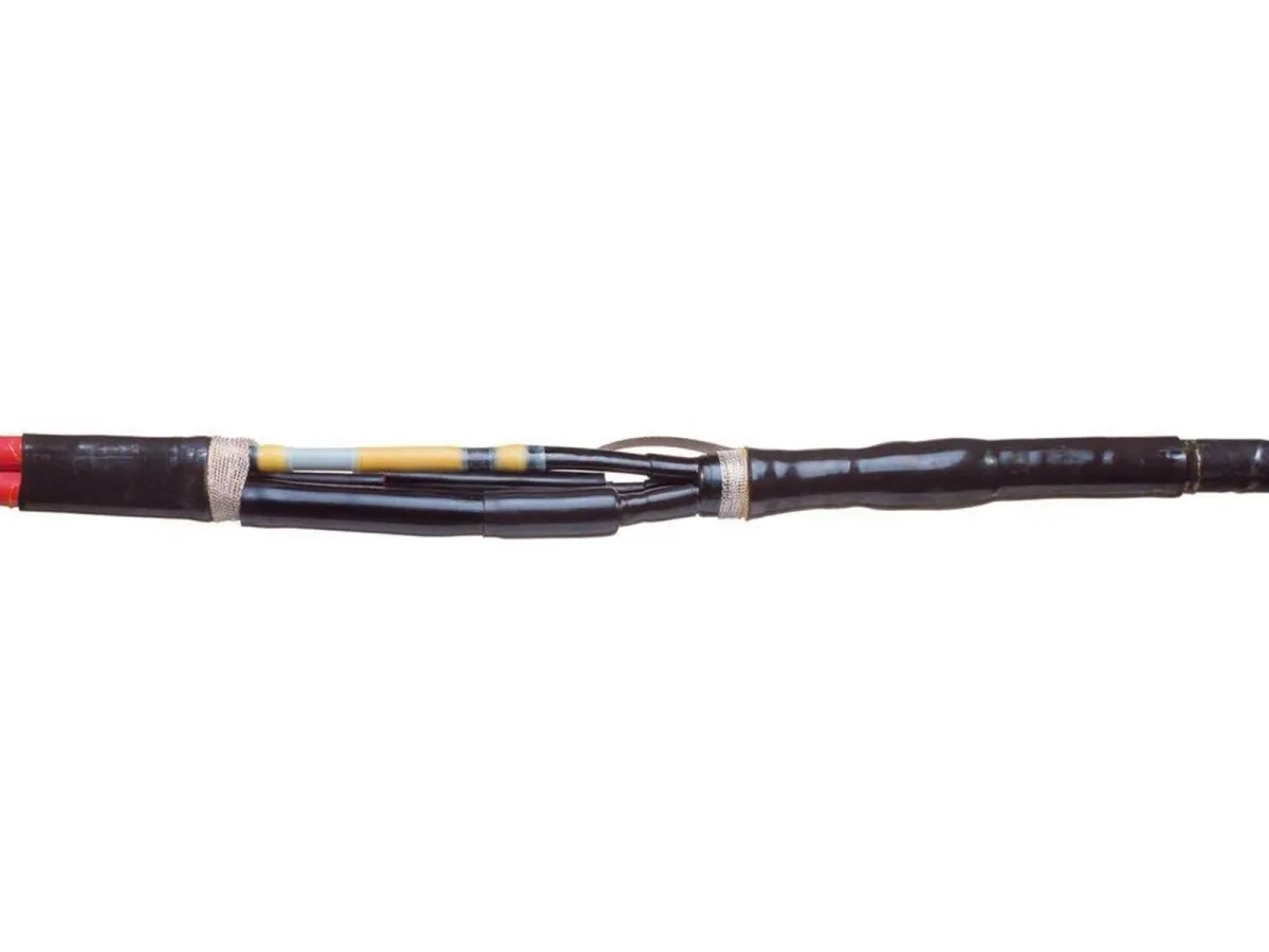 Raychem [9911004895]