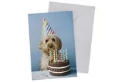 SCANSEASON Card with envelope dog with cake 11*17cm