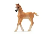 Schleich Arab foal