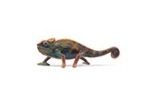 Schleich Chameleon