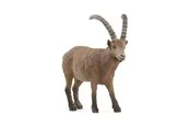 Schleich Ibex