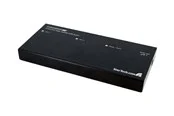 StarTech.com 2 Port DVI Video Splitter mit Audio - video-/audiosplitter - 2 Anschlüsse