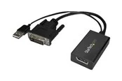 StarTech.com DVI to DisplayPort Adapter - USB Power - DVI-D to DP Converter - display adapter