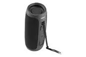 STREETZ S350 Bluetooth Speaker