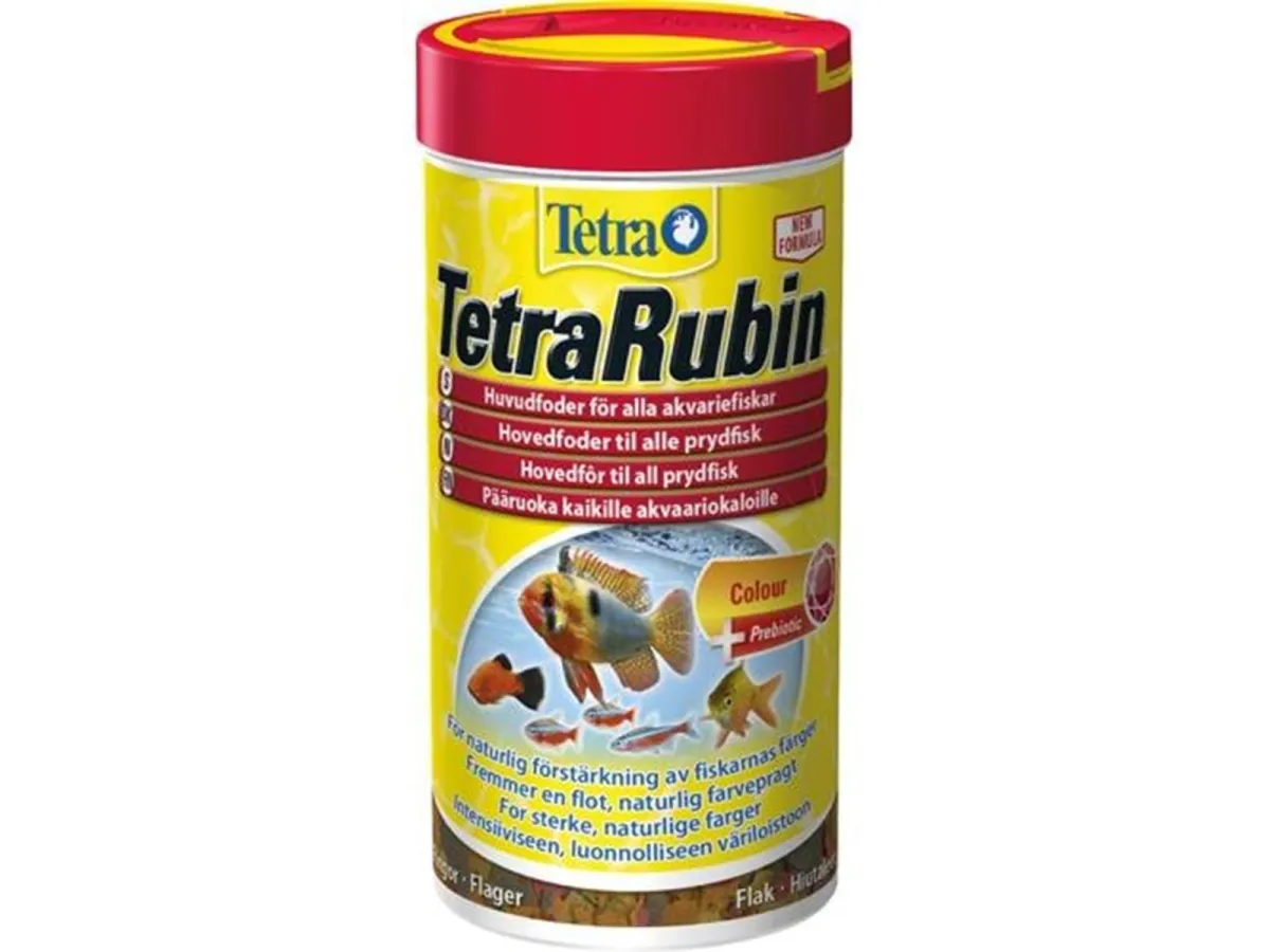 Tetra rubin 1/4
