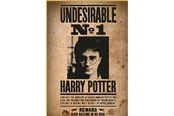 Thumbs Up! Harry Potter "Wanted No. 1" Puzzle