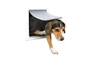 Trixie 2-Way dog flap with tunnel S–M: 30 × 36 cm white