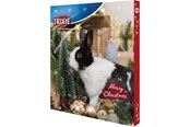 Trixie Advent Calendar for Small Animals