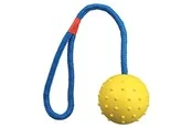 Trixie Ball on a Rope ø6cm assorted colours