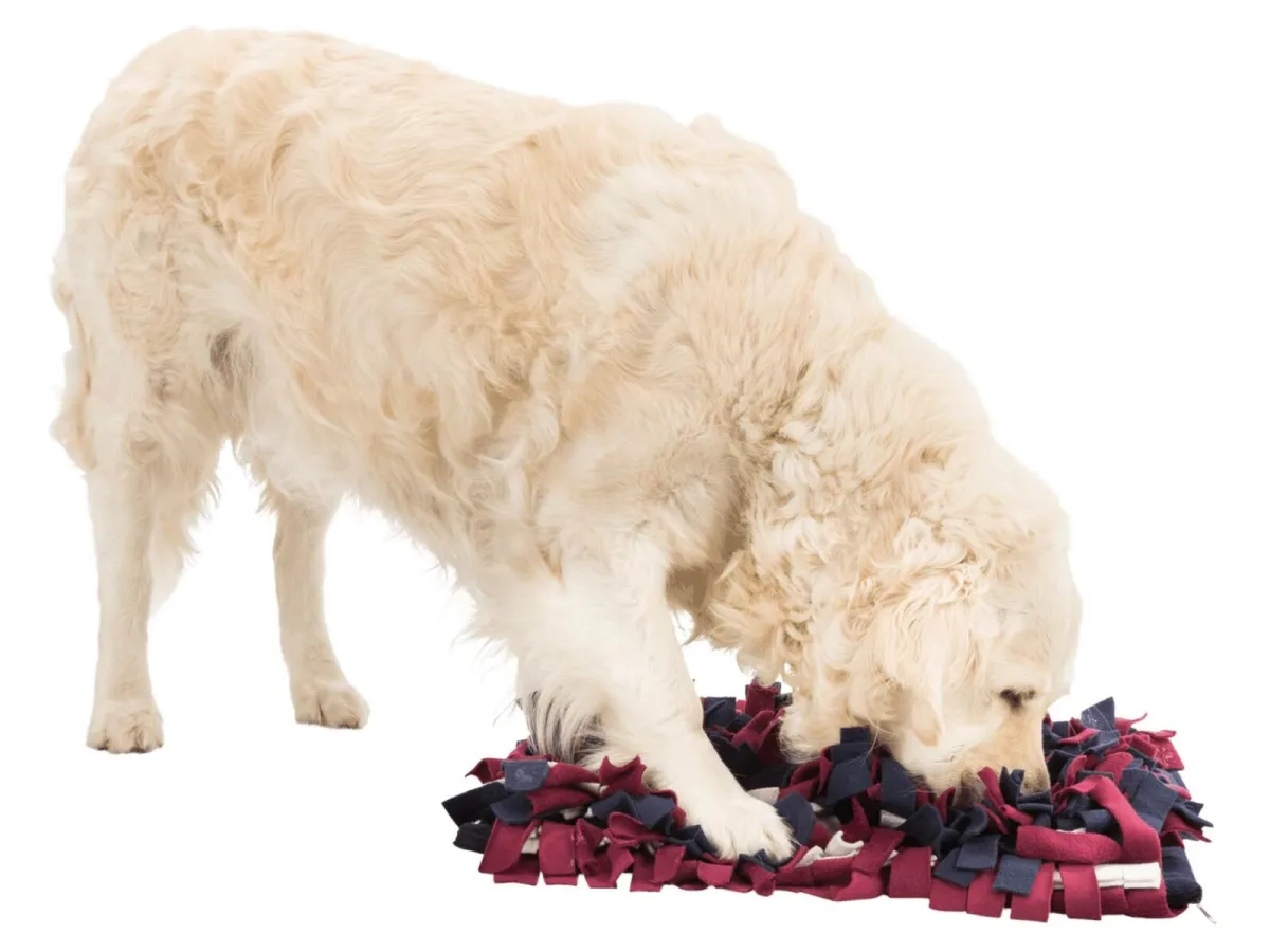 Trixie Dog Activity Sniffing Carpet Strategy Game 50x34cm