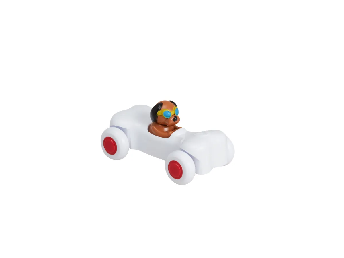 Viking Race meat bones with dog