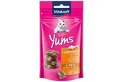 Vitakraft Cat Yums + Chicken and Cat Grass 40g