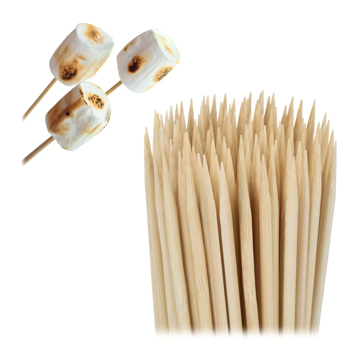 500XSCHASCHLIKSPIESSE