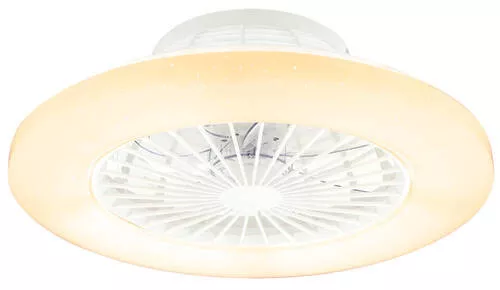 DECKENVENTILATOR 50/17,5 cm
