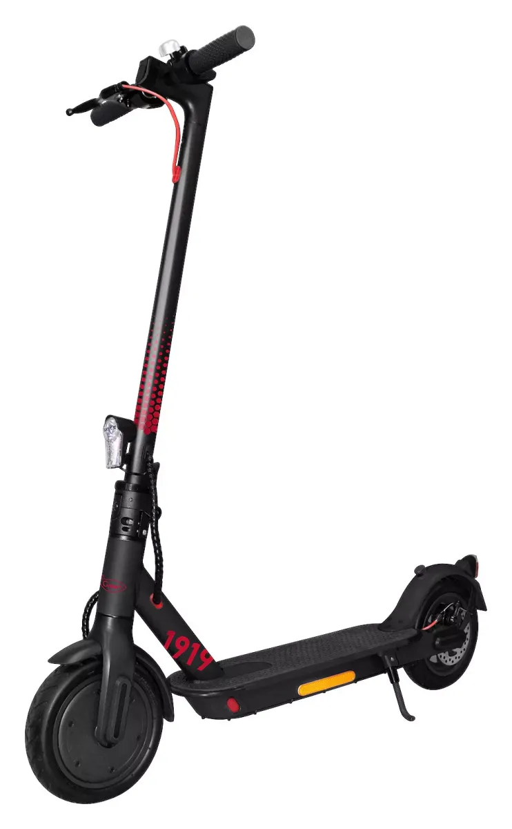 E-SCOOTER ESA1919 EKFV