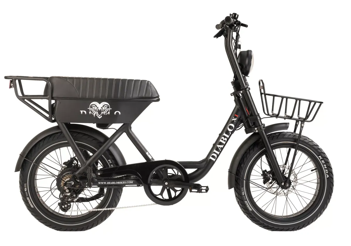 ELEKTROFAHRRAD
