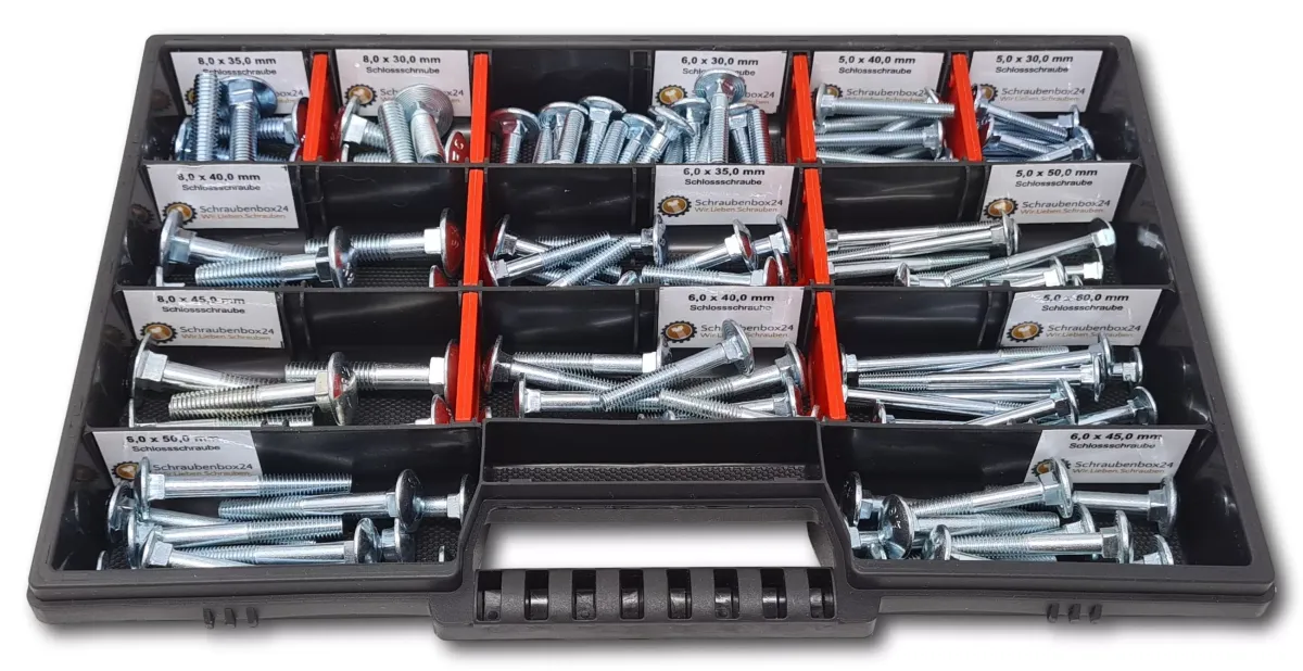 FLACHKOPFSCHRAUBEN Sortiment M5-M6-M8 // 30mm-60mm 115 tlg. Schraubenbox DIN 603