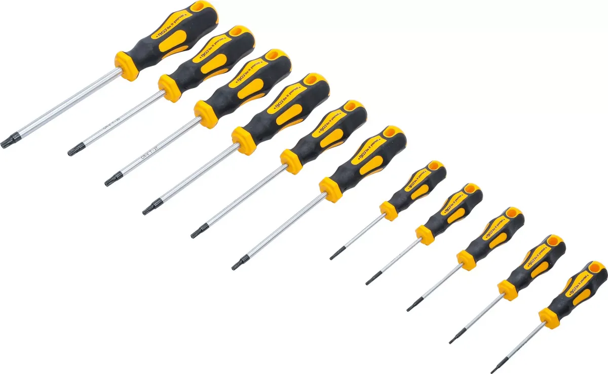 SCHRAUBENDREHER-SATZ | T-PROFIL (FÜR TORX) MIT BOHRUNG T6 - T40 |