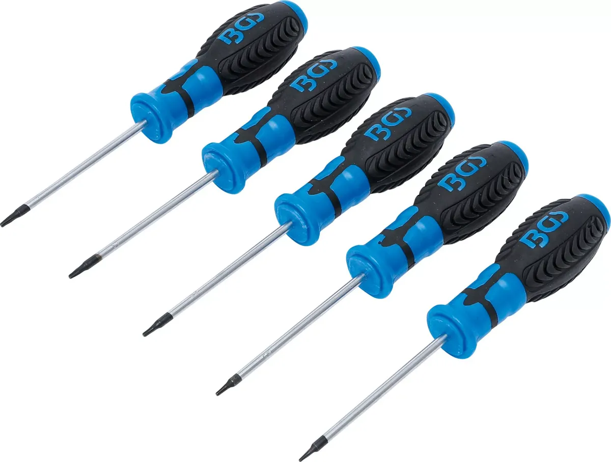 SCHRAUBENDREHER-SATZ | T-PROFIL (FÜR TORX) | T6 - T10 | 5-TLG.