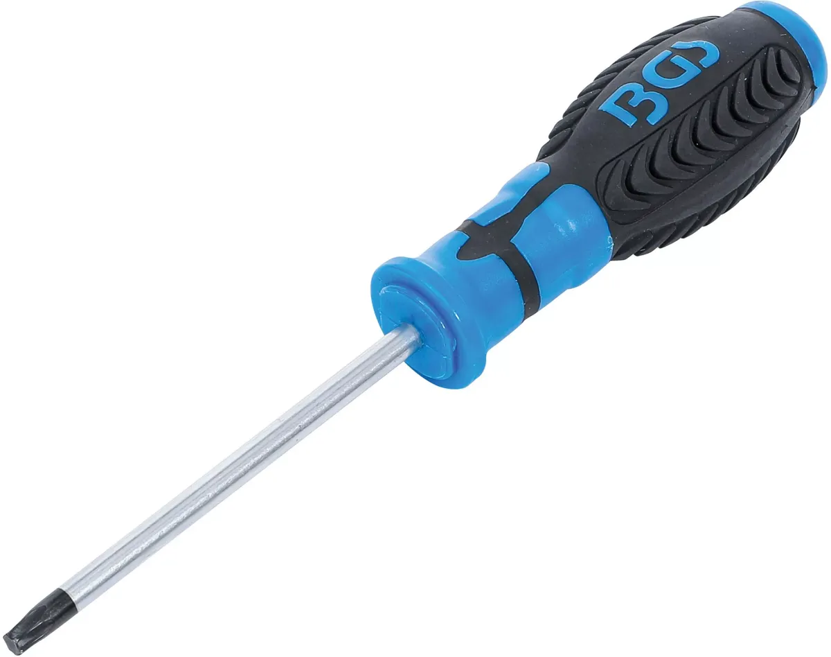 SCHRAUBENDREHER | T-PROFIL (FÜR TORX) T30 | KLINGENLÄNGE 100 MM
