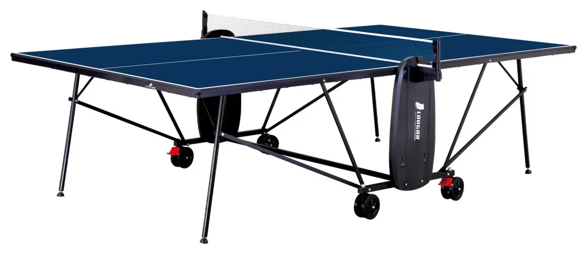TISCHTENNISTISCH