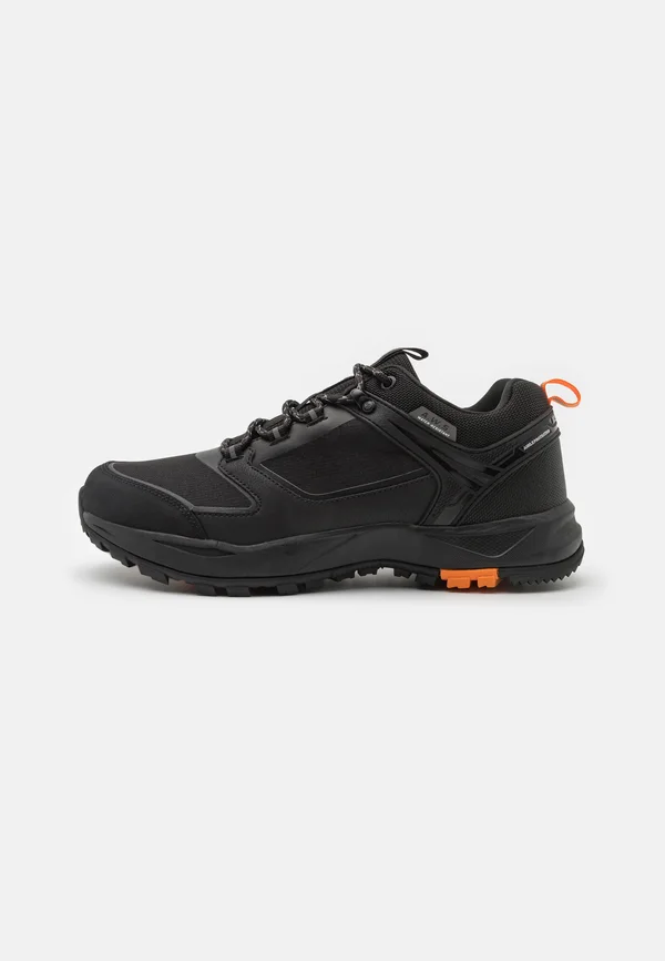ADOUR2 - Hikingschuh - black