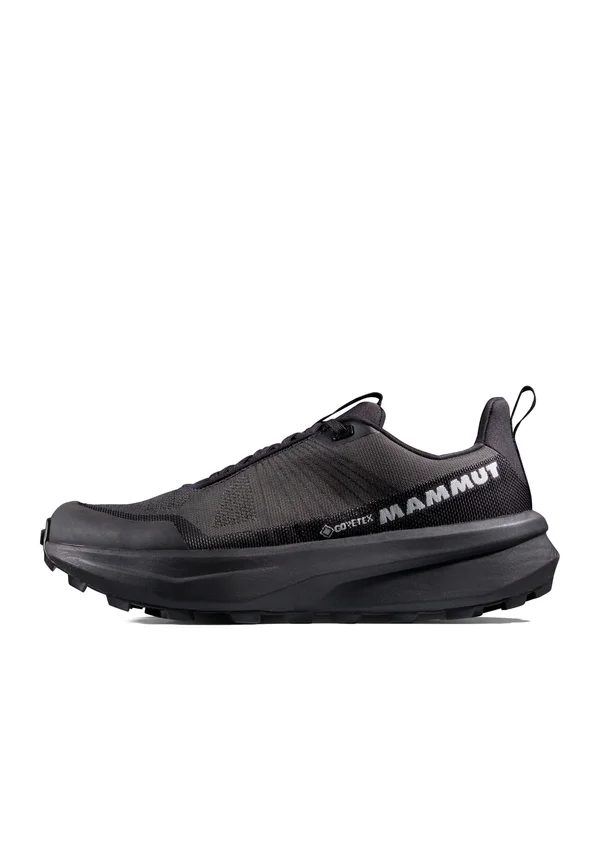 AENERGY MTN LOW GTX - Hikingschuh - iguana black