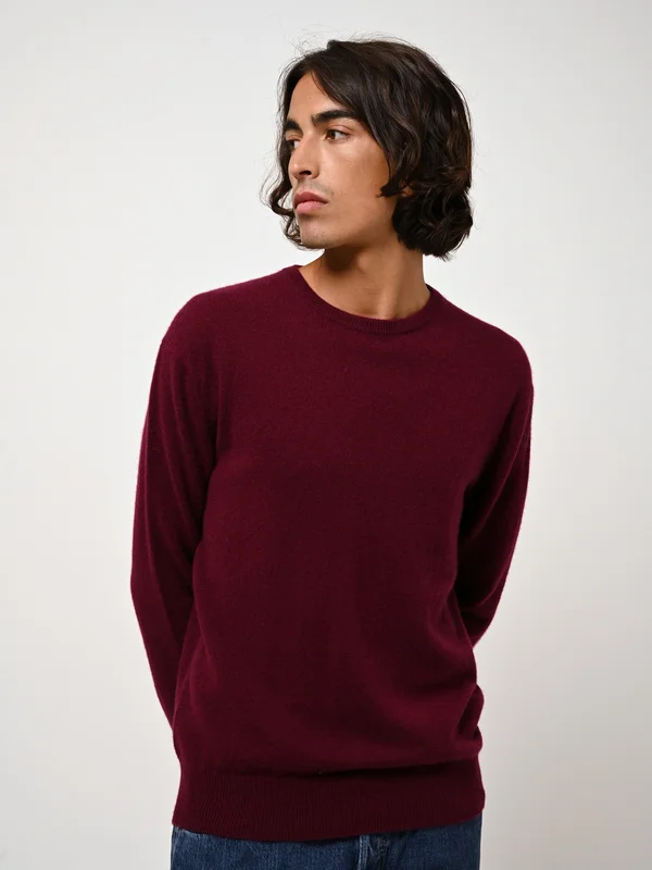 AIGLIÈRE - Strickpullover - bordeaux