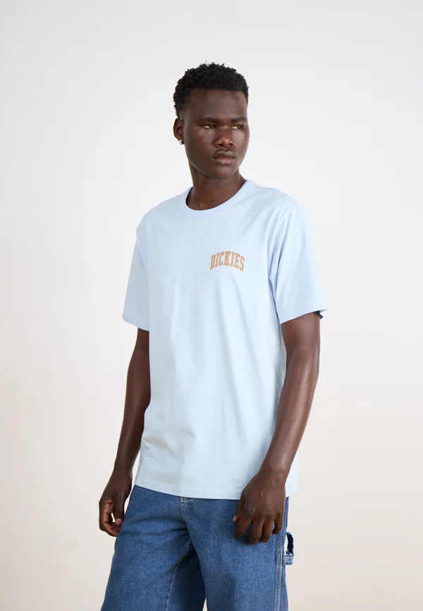 AITKIN CHEST - T-Shirt print - skyway