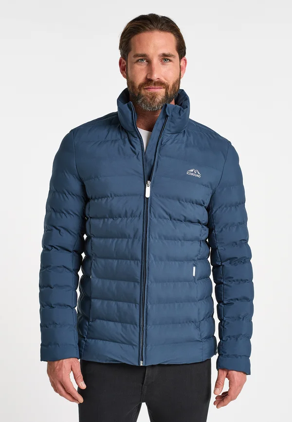ALBISOLE - Winterjacke - marine