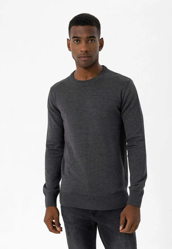 ALDO - Strickpullover - antracite