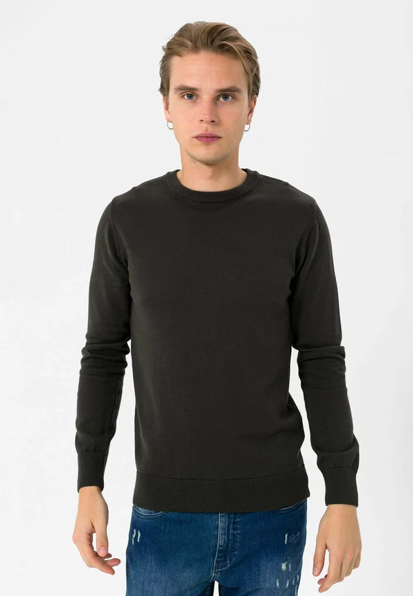ALDO - Strickpullover - khaki