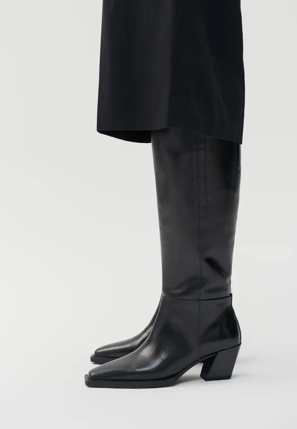 ALINA - Stiefel - black