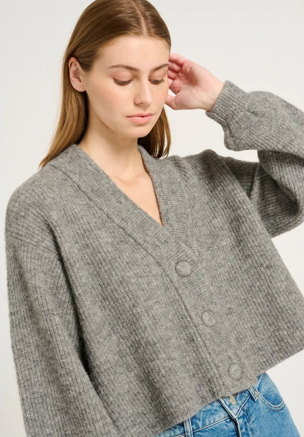 ALPHA - Strickjacke - stone grey mélange