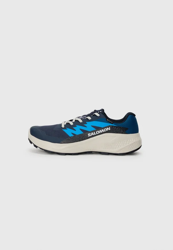 ALPHAGLIDE GTX - Laufschuh Trail - blue nights/lunar rock/french blue