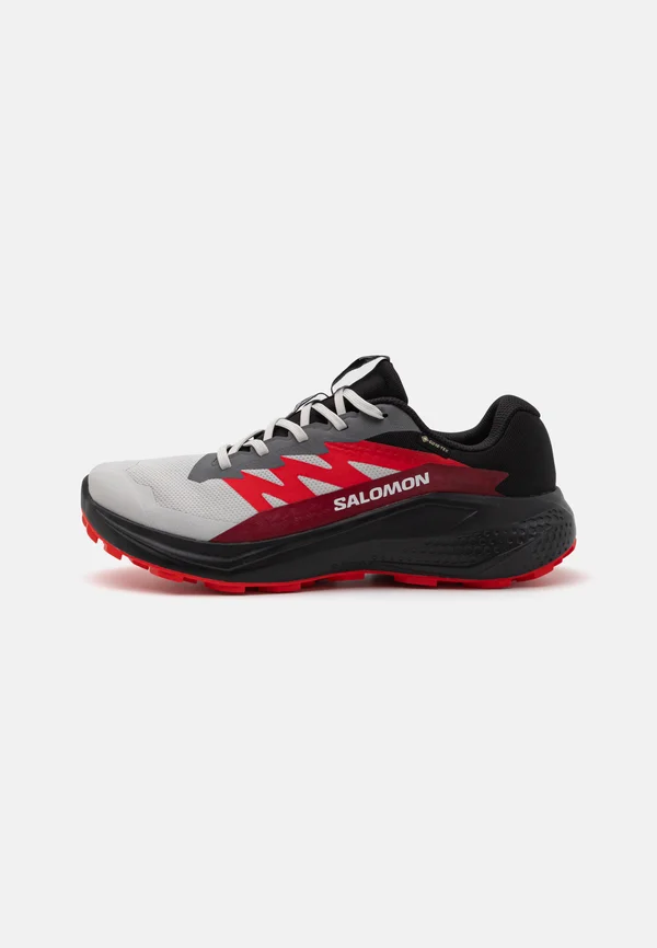 ALPHAGLIDE GTX - Laufschuh Trail - lunar rock/black/biking red