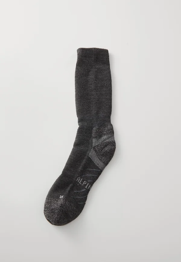 ALPIN SOCKE UNISEX - Sportsocken - asphalt/anthracite