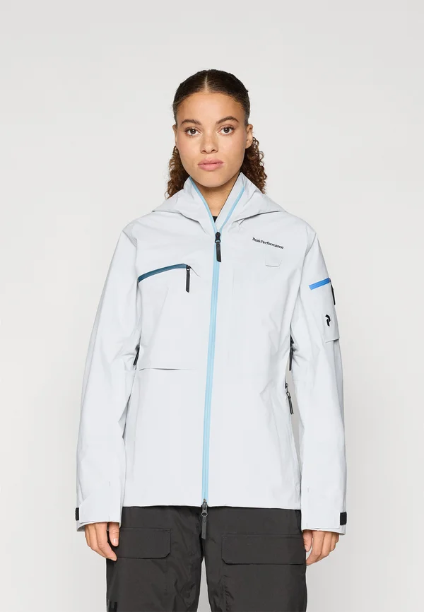ALPINE GORE-TEX JACKET - Snowboardjacke - antarctica