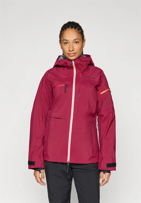 ALPINE GORE-TEX JACKET - Snowboardjacke - vertical zenith