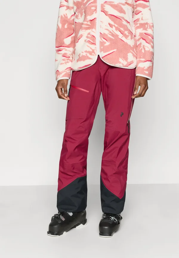 ALPINE GORE-TEX PANTS - Skihose - vertical zenith