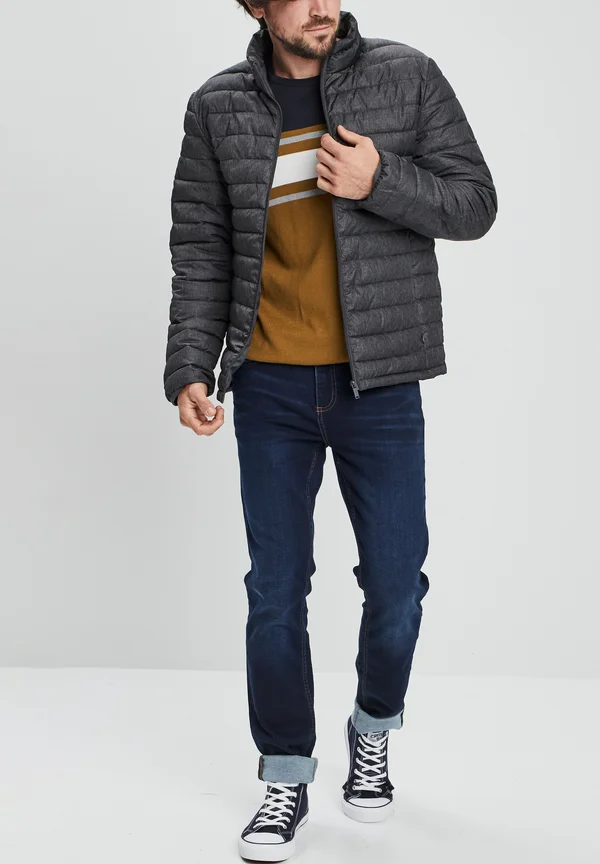 AMERICAN INSPIRATION FASHION COOL EASY STR - Winterjacke - dark grey